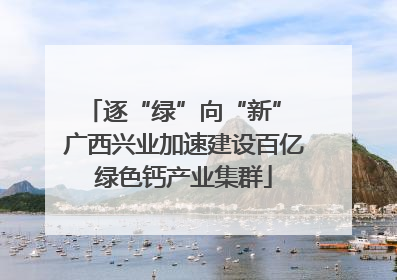 逐“绿”向“新” 广西兴业加速建设百亿绿色钙产业集群