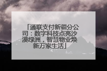 通联支付新疆分公司：数字科技点亮沙漠绿洲，智慧物业焕新万家生活