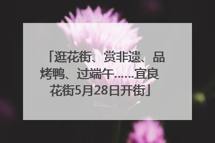 逛花街、赏非遗、品烤鸭、过端午……宜良花街5月28日开街