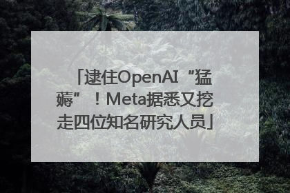 逮住OpenAI“猛薅”！Meta据悉又挖走四位知名研究人员
