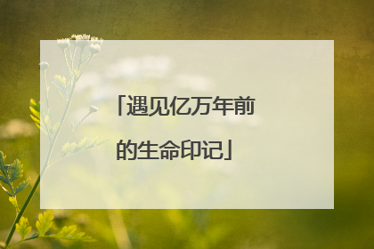 遇见亿万年前的生命印记