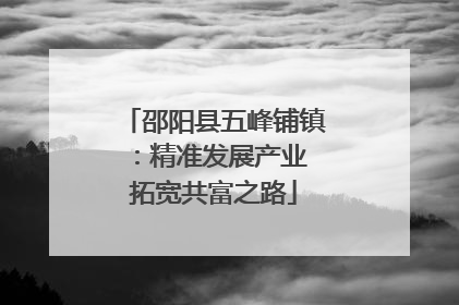 邵阳县五峰铺镇：精准发展产业 拓宽共富之路