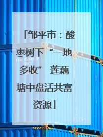 邹平市：酸枣树下“一地多收” 莲藕塘中盘活共富资源