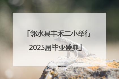邻水县丰禾二小举行2025届毕业盛典