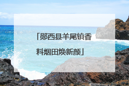 郧西县羊尾镇香料烟田焕新颜