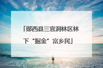 郧西县三官洞林区林下“掘金”富乡民