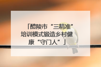 醴陵市“三精准”培训模式锻造乡村健康“守门人”