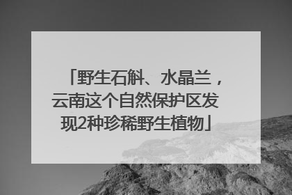野生石斛、水晶兰，云南这个自然保护区发现2种珍稀野生植物