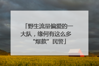 野生流量偏爱的一大队，缘何有这么多“爆款”民警