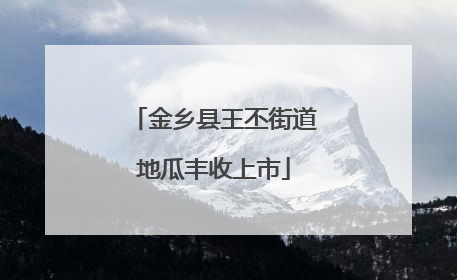 金乡县王丕街道地瓜丰收上市