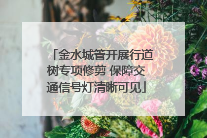 金水城管开展行道树专项修剪 保障交通信号灯清晰可见