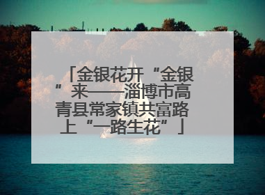 金银花开“金银”来——淄博市高青县常家镇共富路上“一路生花”