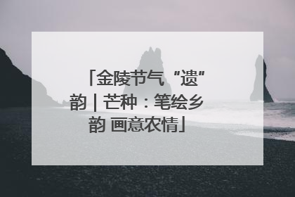 金陵节气“遗”韵｜芒种：笔绘乡韵 画意农情