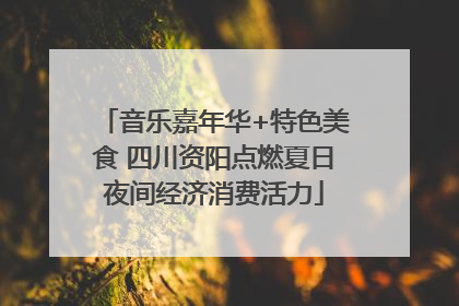 音乐嘉年华+特色美食 四川资阳点燃夏日夜间经济消费活力