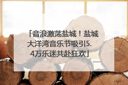 音浪激荡盐城！盐城大洋湾音乐节吸引5.4万乐迷共赴狂欢