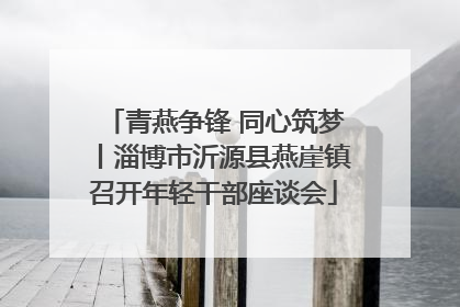 青燕争锋 同心筑梦丨淄博市沂源县燕崖镇召开年轻干部座谈会