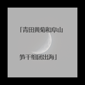 青田黄菊和阜山笋干组团出海