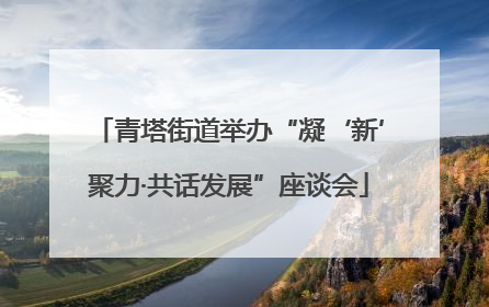 青塔街道举办“凝‘新’聚力·共话发展”座谈会