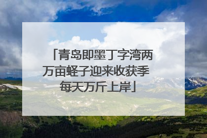 青岛即墨丁字湾两万亩蛏子迎来收获季 每天万斤上岸