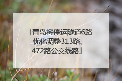 青岛将停运隧道6路 优化调整313路、472路公交线路