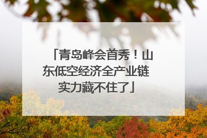 青岛峰会首秀！山东低空经济全产业链实力藏不住了