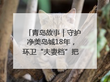 青岛故事｜守护净美岛城18年，环卫“夫妻档”把青岛当第二个家