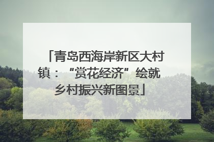 青岛西海岸新区大村镇：“赏花经济”绘就乡村振兴新图景