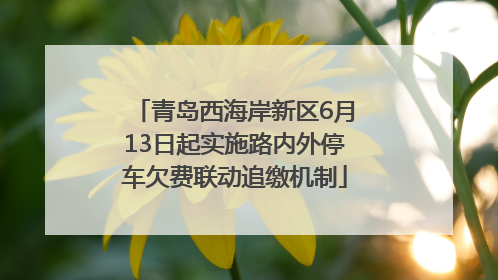 青岛西海岸新区6月13日起实施路内外停车欠费联动追缴机制