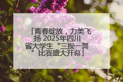 青春绽放，力美飞扬 2025年四川省大学生“三操一舞”比赛盛大开幕