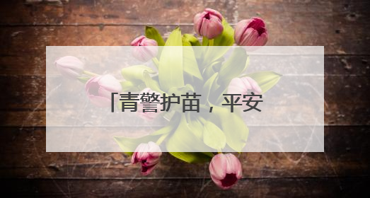 青警护苗，平安启程！武汉青山交警开展交通安全宣传进校园活动