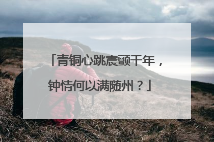青铜心跳震颤千年，钟情何以满随州？