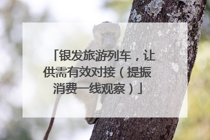 银发旅游列车，让供需有效对接（提振消费一线观察）
