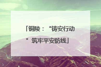 铜陵：“铸安行动”筑牢平安防线