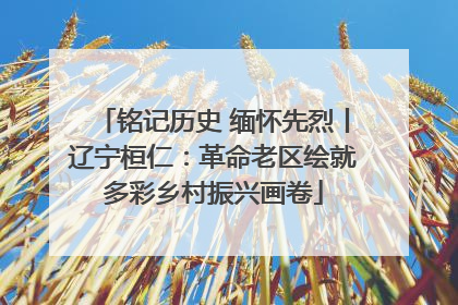铭记历史 缅怀先烈丨辽宁桓仁：革命老区绘就多彩乡村振兴画卷