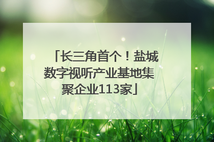 长三角首个！盐城数字视听产业基地集聚企业113家