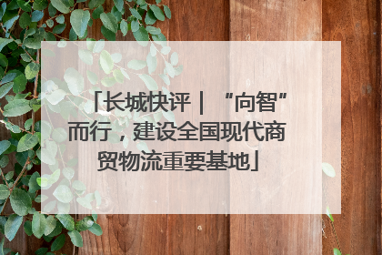 长城快评｜“向智”而行，建设全国现代商贸物流重要基地