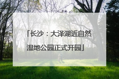 长沙：大泽湖近自然湿地公园正式开园