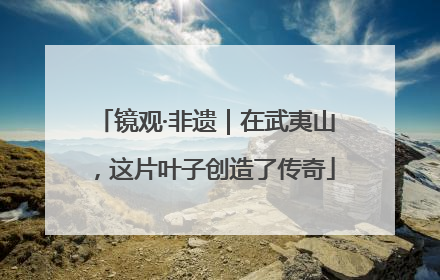镜观·非遗｜在武夷山，这片叶子创造了传奇