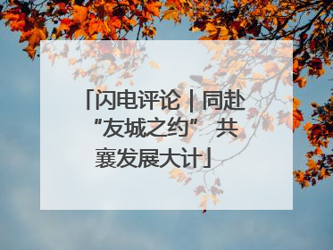 闪电评论｜同赴“友城之约” 共襄发展大计