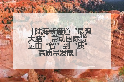 陆海新通道“最强大脑” 带动国际货运由“智”到“质”高质量发展