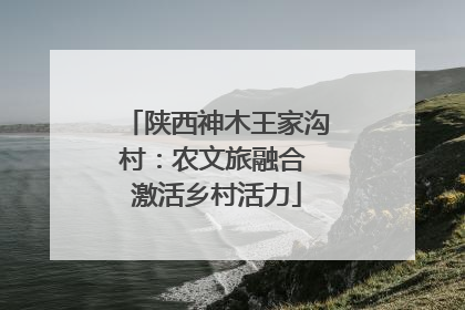 陕西神木王家沟村：农文旅融合 激活乡村活力