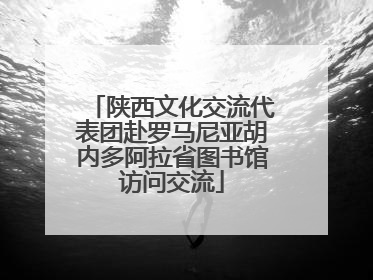 陕西文化交流代表团赴罗马尼亚胡内多阿拉省图书馆访问交流