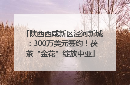 陕西西咸新区泾河新城：300万美元签约！茯茶“金花”绽放中亚