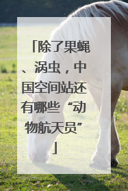 除了果蝇、涡虫，中国空间站还有哪些“动物航天员”