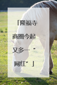 隆福寺商圈今起又多一“网红”
