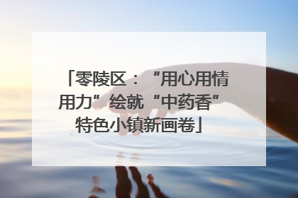 零陵区：“用心用情用力”绘就“中药香”特色小镇新画卷