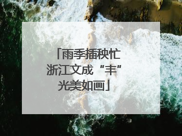 雨季插秧忙 浙江文成“丰”光美如画