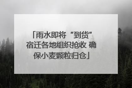 雨水即将“到货” 宿迁各地组织抢收 确保小麦颗粒归仓