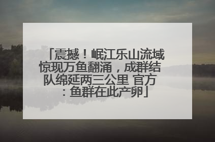 震撼！岷江乐山流域惊现万鱼翻涌，成群结队绵延两三公里 官方：鱼群在此产卵