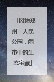 风物郑州｜人民公园：闹市中的生态宝藏